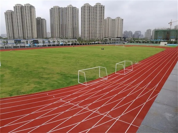 昭通市塑胶跑道维修EPDM颗粒 - 厂家